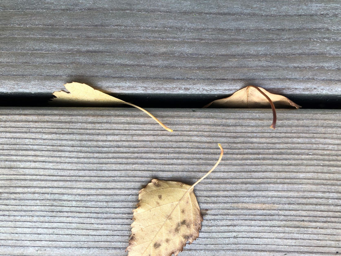 Der Herbst ist da - und damit Laub und Schmutz unter Ihrer Terrasse